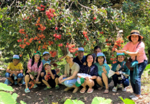 Tour miền Tây Cái Bè - Châu Đốc (2 Ngày) | Cù lao Tân Phong - Vườn trái cây - Rừng tràm Trà Sư - Di tích núi Sam 